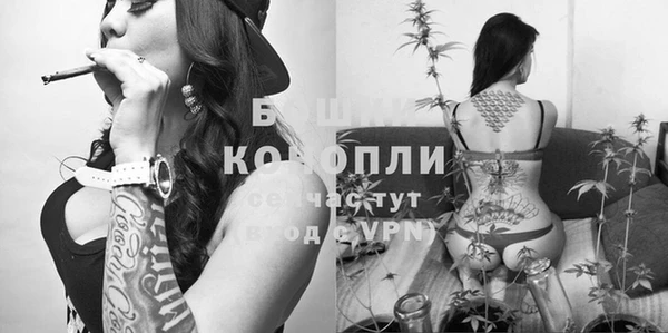 ПСИЛОЦИБИНОВЫЕ ГРИБЫ Алексин