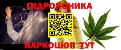 прущие грибы Славянск-на-Кубани