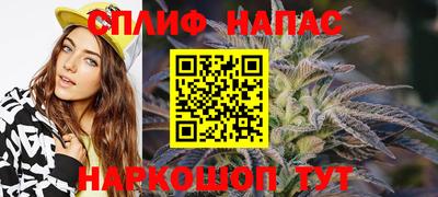 прущие грибы Славянск-на-Кубани