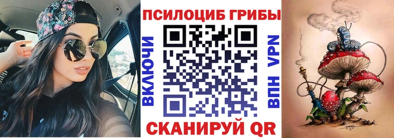 закладки Слободской Псилоцибиновые грибы Psilocybe