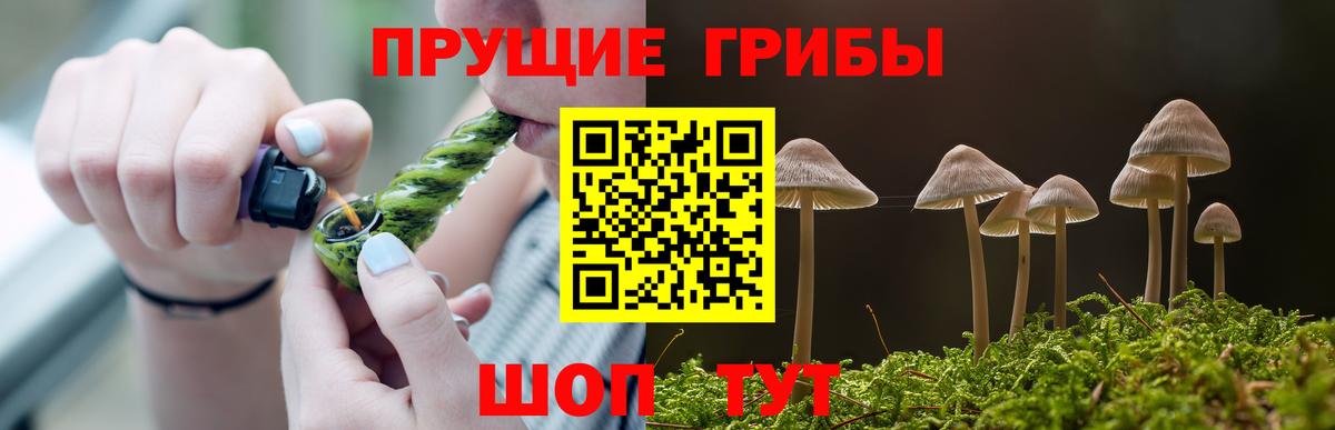 Галлюциногенные грибы мицелий  Вход с VPN  Слободской 